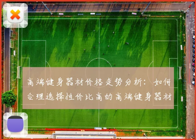 高端健身器材价格走势分析：如何合理选择性价比高的高端健身器材