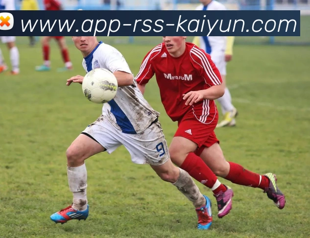 开云APP发展历程